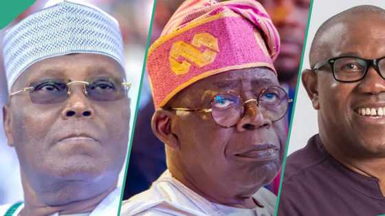 Nasarar Tinubu a Kotun Koli: APC ta aikawa Atiku, Peter Obi sakon gaggawa