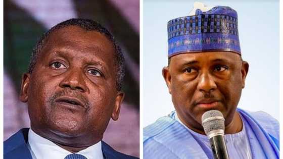 List of Nigerian family-owned companies that earn more than N4.10 billion per year, some are over 60 years old