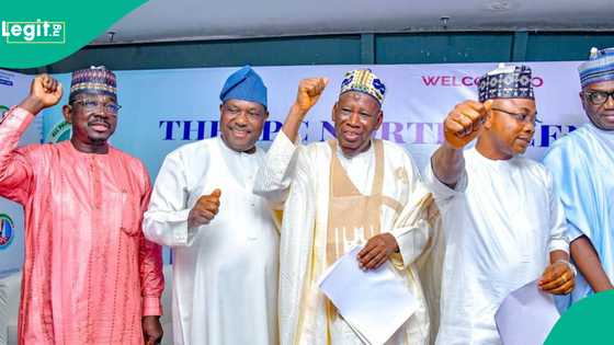 Gwamnonin Arewa 5, shugabanni APC sun amince da tazarcen Tinubu a 2027