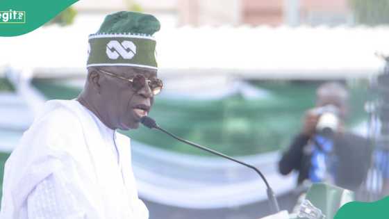 Tinubu forcing IMF policies on Nigerians, not inclusive, says APC chieftain