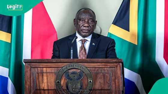 South Africa releases official fees for 6 visa types in 2026, amount converted to naira