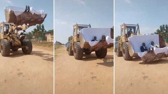 So unique: Newlyweds make grand entrance in excavator, it lifted them up and down, video causes stir