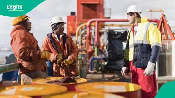 FG threatens to withdraw licence of oil companies, gives important reasons
