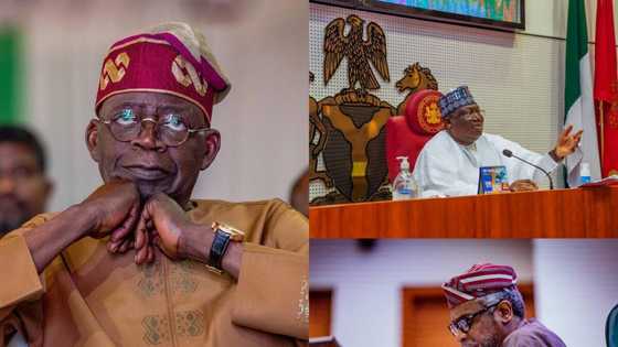 Shugaba Tinubu Ya Ba Wa Lawan Da Gbajabiamila Sabon 'Aiki' Mai Muhimmanci