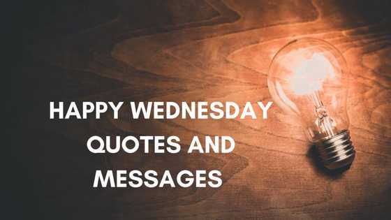 50+ amazing happy Wednesday quotes and messages to get you through hump day