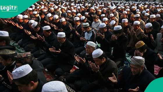 20,000 Islamic scholars from Saudi, USA, others to Storm Nigeria, reason emerges