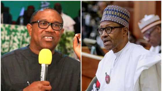 Peter Obi tells Buhari to take charge of negotiations with ASUU
