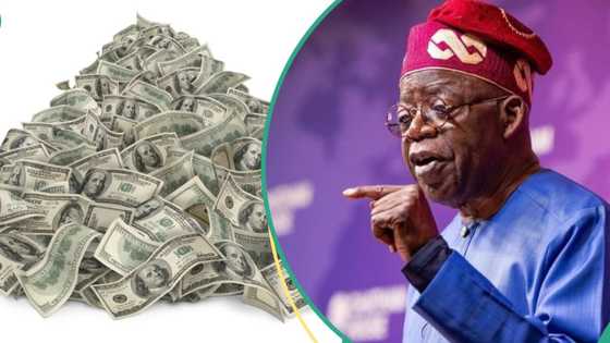More worries as FG’s debt servicing gulps N696 billion in one month