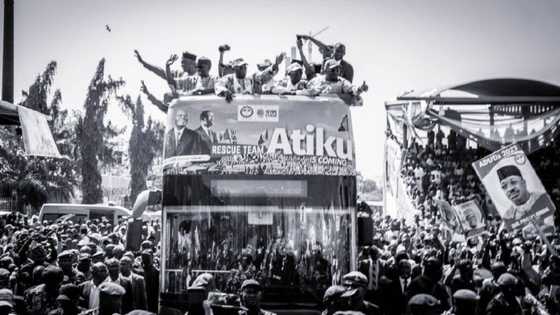 An Shiga Rudani, ‘Yan APC Sun Fadawa Ganduje Wadanda Su Ka Goyi Bayan Atiku