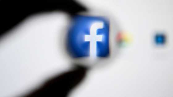 Meta warns of password stealing phone apps