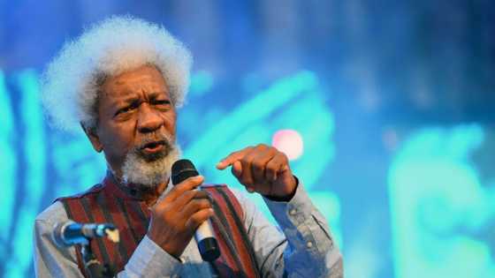 Stop being timid, Soyinka sends tough message to governors