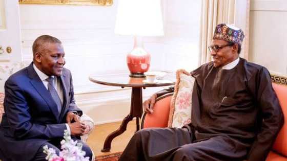 Aliko Dangote ya yi magana bayan Shugaba Buhari ya garkame iyakokin shiga Najeriya