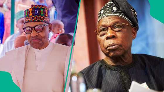 Mambilla $6bn power contract: Top analyst raises major question as Obasanjo, Buhari testify in Paris
