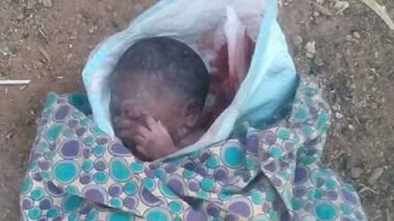 Kaduna: Hankula Sun Tashi Yayin Da Aka Tsinci Wani Jariri Kwance Cikin Tsumma