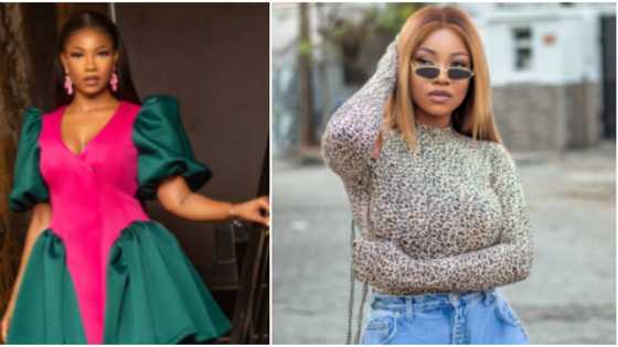 BBNaija's Tacha makes fun of haters as she hits 1m followers on Twitter