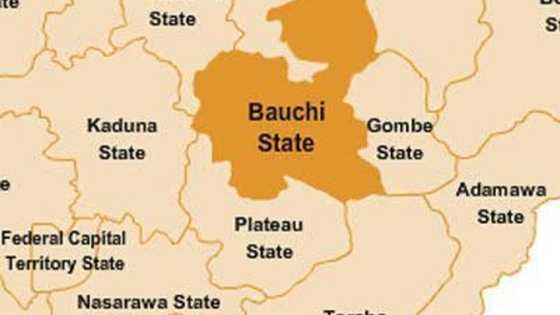 Yanzu yanzu: Hatsarin mota ya yi sanadin rasuwar mutane 20 a Bauchi