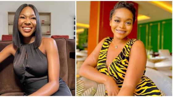 BBNaija reunion: Reactions as Vee defends reason for nominating her friend Lilo for eviction