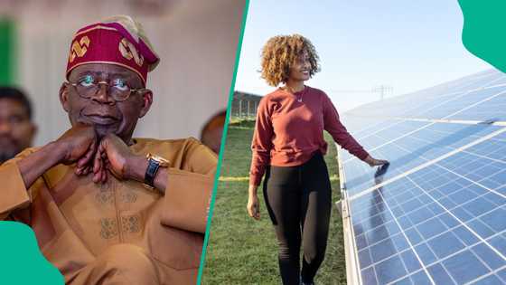 Nigeria's solar panel importation declines as FG insists on ban