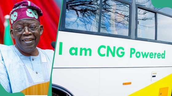 Transport fare finally set to crash as FG unveils new plan for CNG bus