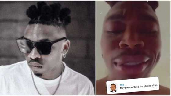 "What of moi moi seller?" Mayorkun summons the 'Yoruba' in him, replies fan who asked him to bring back Eleko