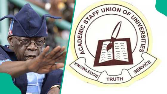 Breaking: Tinubu's govt pays 5 months' allowance to Nigerian university lecturers