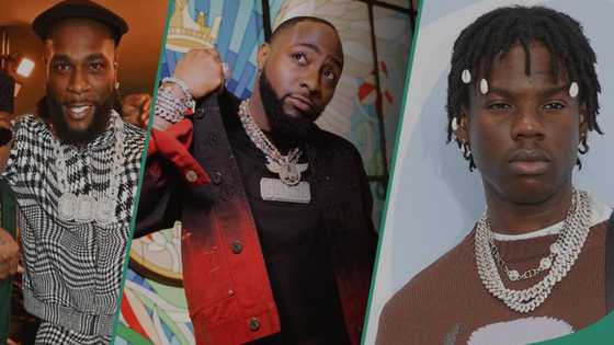 No peace: Davido throws heavy shades, claps back at troll, shares why he flaunts his acquisitions