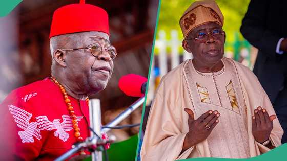 2027: South-South endorses Tinubu, 4 Nigerian governors for re-election