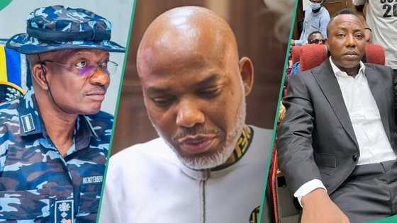 'Free Nnamdi Kanu' Protest: Police warn Sowore, others not to move close to Aso Rock