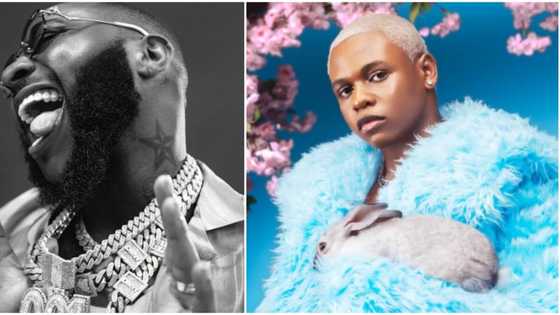"Na my Idolo be that": Mavins star Boy Spyce knocks fan who said he was bigger than Davido, many react