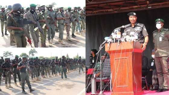 Bandits in trouble as police begins special operation to flush out banditry