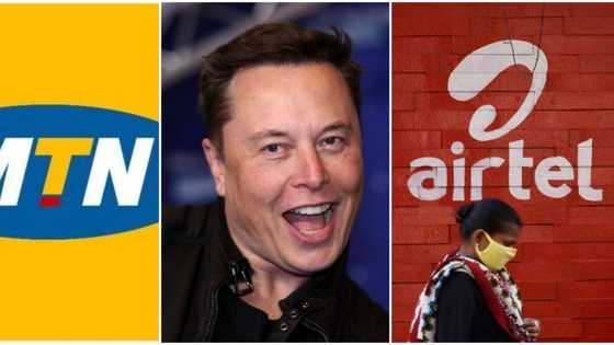 Elon Musk wants to compete with MTN, Glo, others in Nigeria
