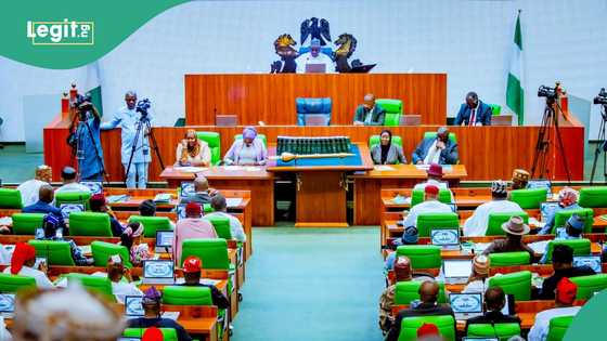 HND/BSC dichotomy: Reps announce bill to criminalise discrimination between certificates