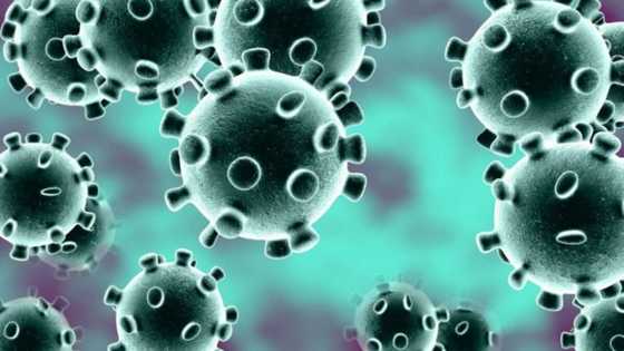 Sabuwar Annobar Korona ta B117 ta kunno kai a Amurka