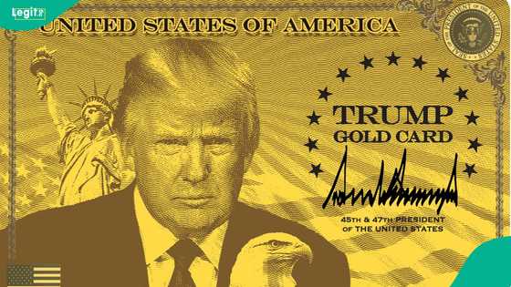 US president Donald Trump launches $1 million gold visa card programme
