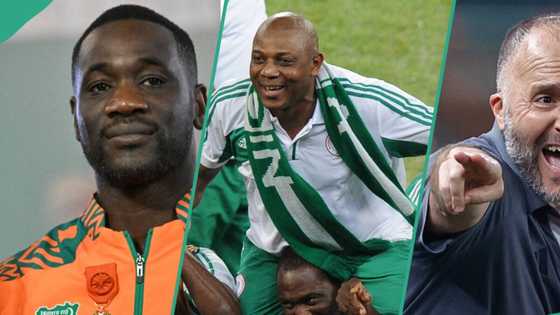 FULL LIST: Emerse Fae, Stephen Keshi, 9 other African coaches who won AFCON title