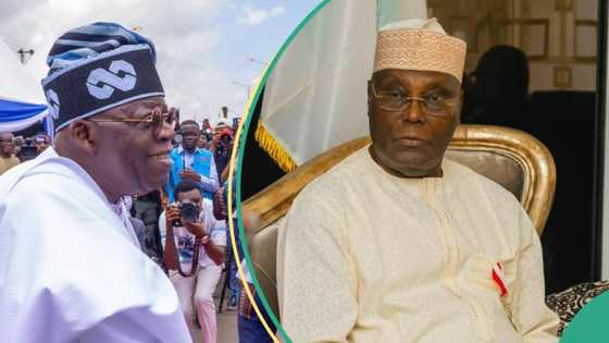 Atiku reacts to Tinubu's fall at Eagle Square, shares video: "I hope all is well"