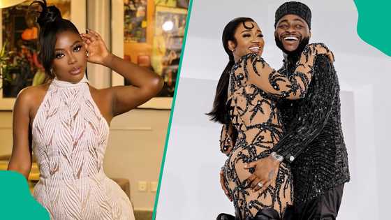 Sophia Momodu Criticised for Reacting to Allegation of Dragging Chioma over Davido: "Narcissist"