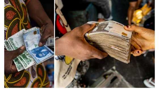 Naira Scarcity: Banks lament low cash deposits by customers as new naira Notes dry up