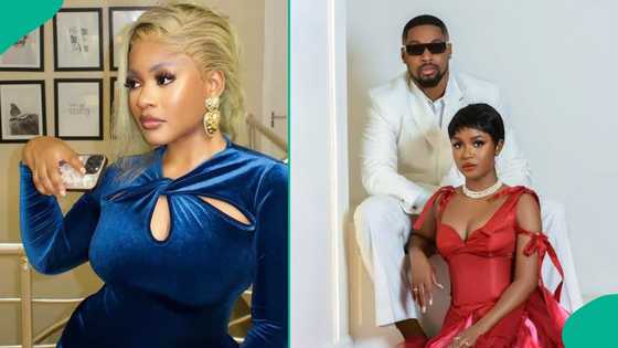 Phyna narrates her experience at Bella’s house amid domestic violence allegations against Sheggz