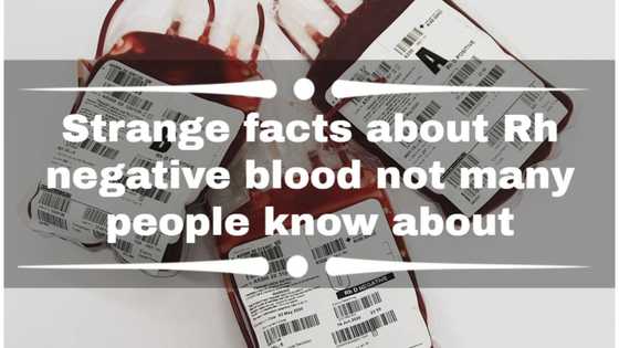 Strange facts about Rh negative blood not many people know about