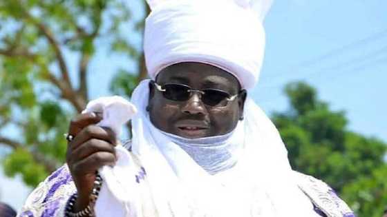 Bauchi: Sarki ya dakatar da Wakilin Birni saboda zarta shi walkiya yayin hawan sallah