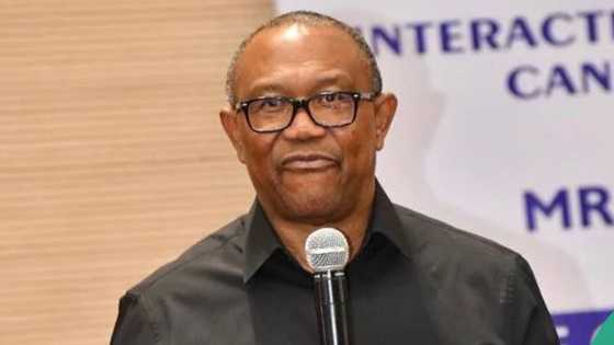 Peter Obi laments as another giant company P&G exits Nigeria