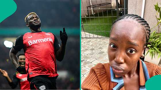 "He is very petty": Nigerians react as Victor Boniface finally meet lady who dragged him on podcast, video