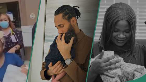 Baby boom: Davido, Stan Nze and 7 top celebs who gave birth between September and October