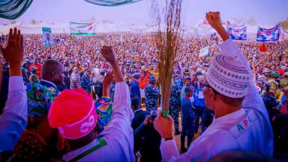 2023: Gaskiya Ta Fito, Dalilin Da Yasa Buhari Ya Zabi Tallata Tinubu A Jihohin Najeriya 10 Kadai