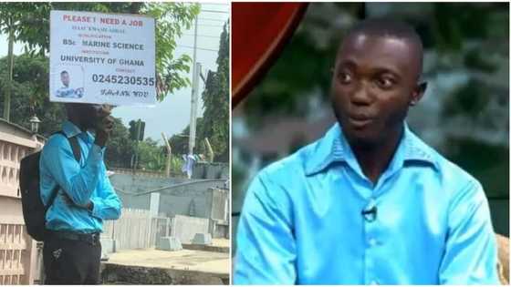"People were laughing at me but I have got job offers from 50 companies": Viral graduate with placard says