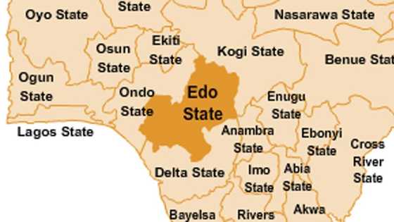 Breaking: Amid coronavirus pandemic, medical doctor dies of Lassa fever in Edo