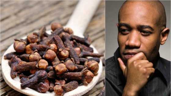 Top clove benefits for men: why should they consume it?