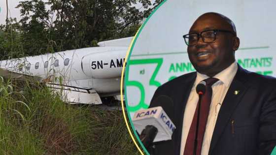 FG gives update, begins investigation as private jet conveying Tinubu's minister crash-lands