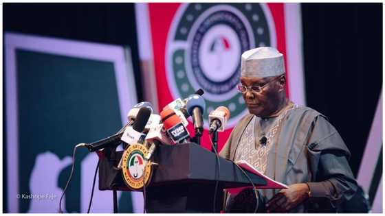 2023: Consensus talks not meant to exclude Atiku, former Senate President insist